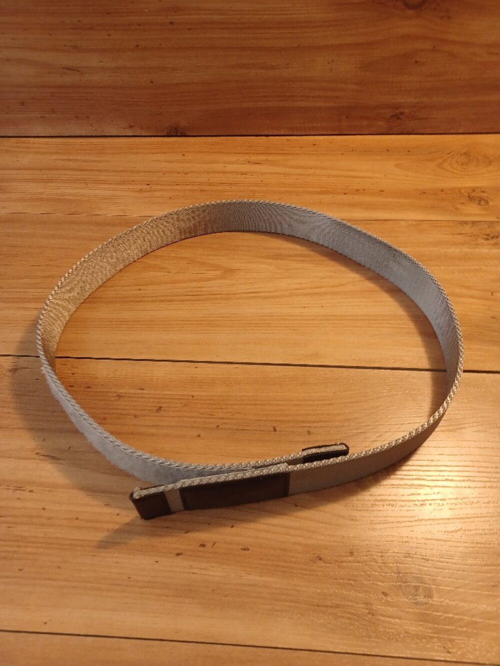 Dickies Men's Belt